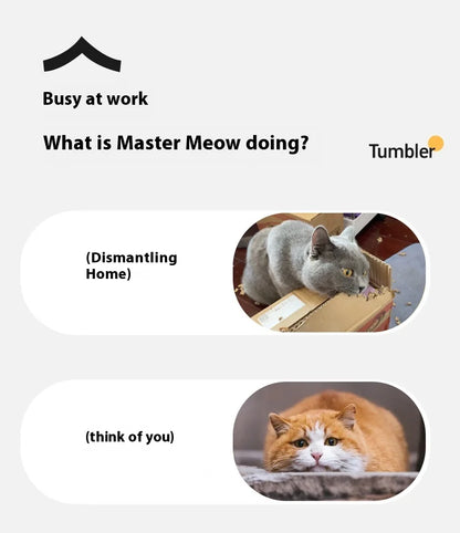 New Electric Cat Ball Toys Automatic Rolling Ball With Teaser Bird Cat Toys Pet Interactive Smart  Sensor Rechargeable Cat Toys