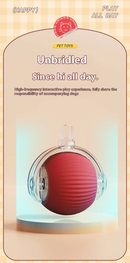 New Electric Cat Ball Toys Automatic Rolling Ball With Teaser Bird Cat Toys Pet Interactive Smart  Sensor Rechargeable Cat Toys